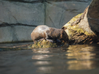Alwetterzoo Münster Alwetterzoo Münster