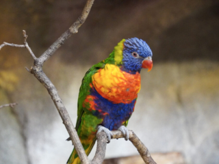 Alwetterzoo Münster Alwetterzoo Münster