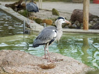 Alwetterzoo Münster Alwetterzoo Münster