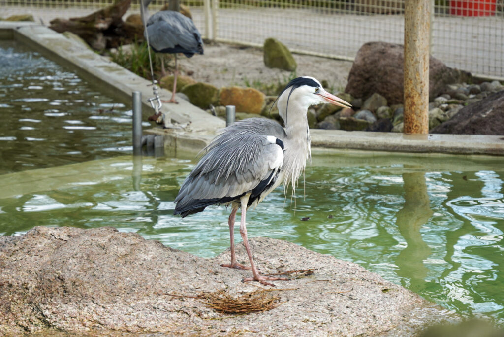 Alwetterzoo Münster Alwetterzoo Münster