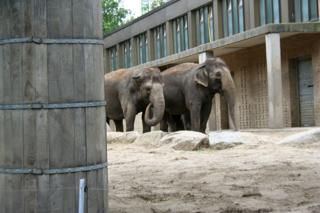 Berliner Zoo