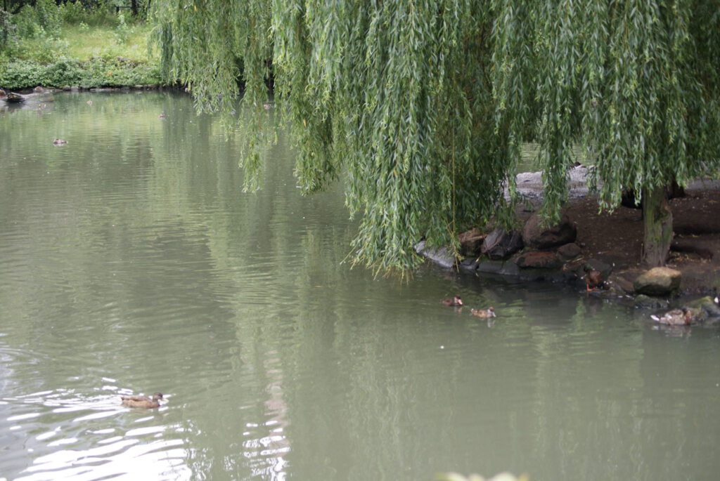 Berliner Zoo