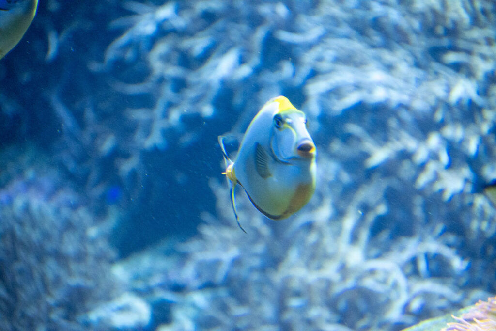 Aquazoo L&ouml;bbecke Museum D&uuml;sseldorf