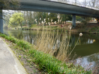 Grugapark Essen