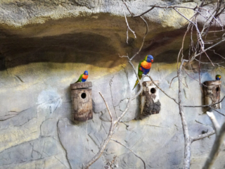 Alwetterzoo Münster Alwetterzoo Münster