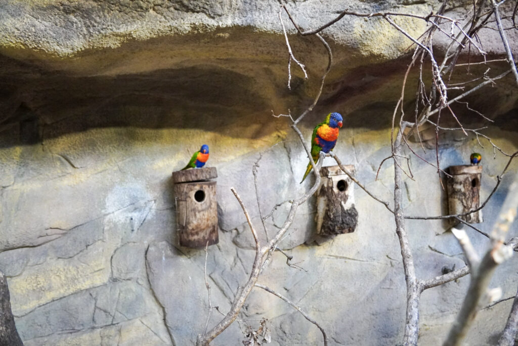 Alwetterzoo Münster Alwetterzoo Münster
