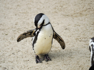 Alwetterzoo Münster Alwetterzoo Münster