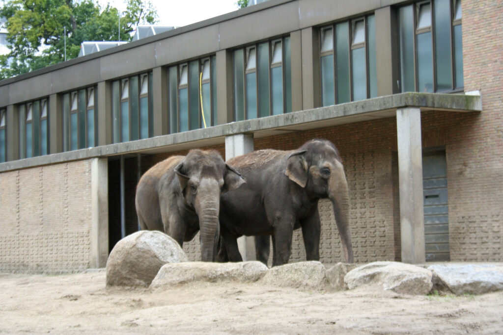 Berliner Zoo