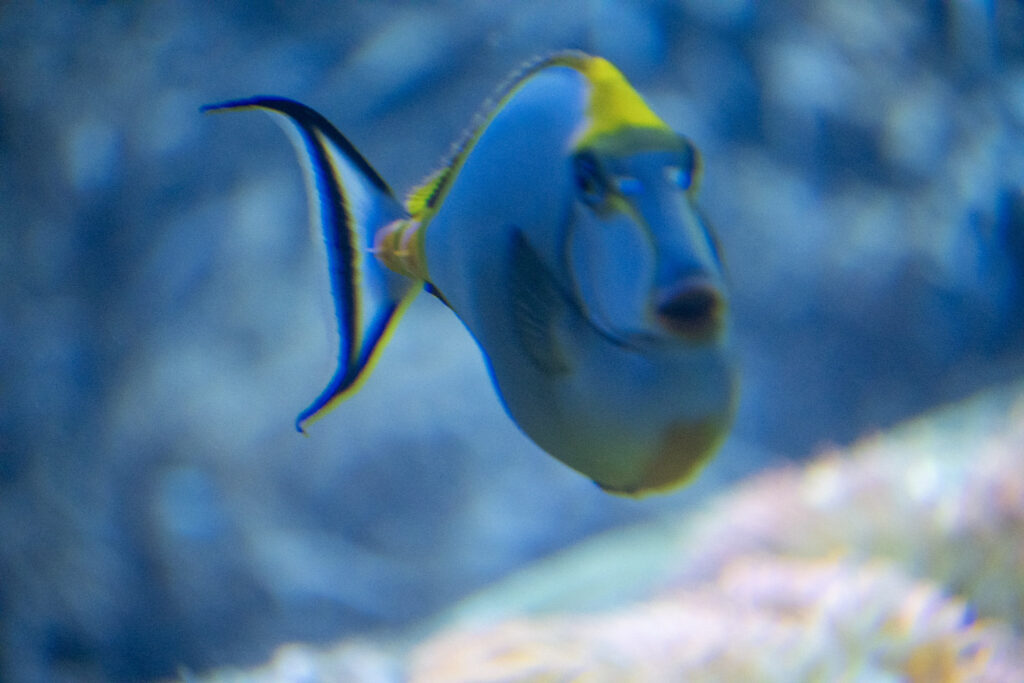 Aquazoo L&ouml;bbecke Museum D&uuml;sseldorf