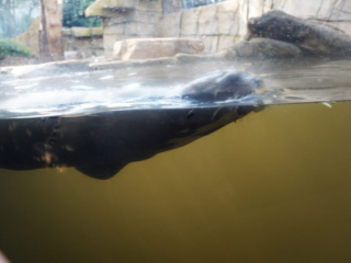 Alwetterzoo Münster Alwetterzoo Münster