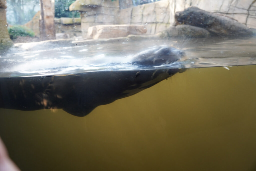 Alwetterzoo Münster Alwetterzoo Münster