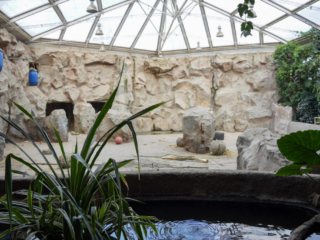 Alwetterzoo Münster Alwetterzoo Münster
