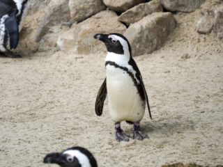 Alwetterzoo Münster Alwetterzoo Münster