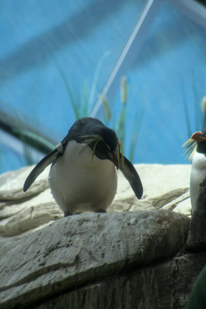 Berliner Zoo
