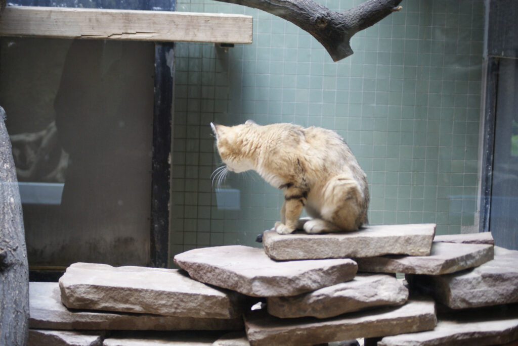 Berliner Zoo