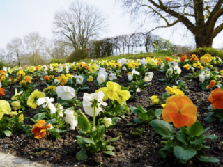 Grugapark Essen