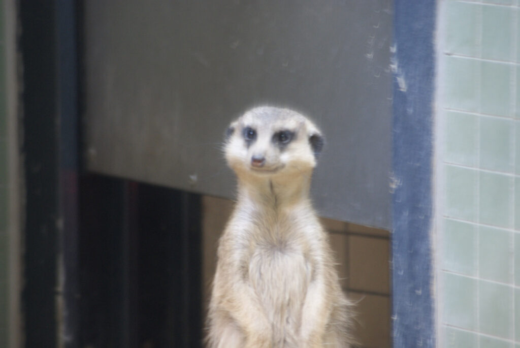 Berliner Zoo