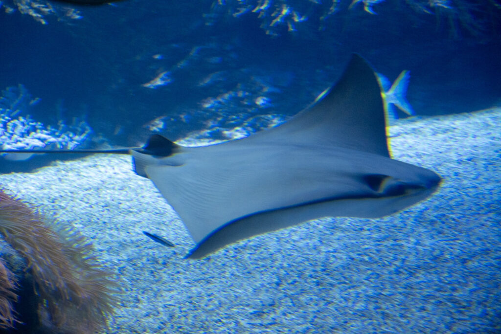 Aquazoo L&ouml;bbecke Museum D&uuml;sseldorf