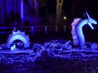 Drachenlichter im Br&uuml;ckenkopfpark J&uuml;lich