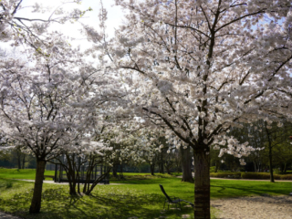 Grugapark Essen