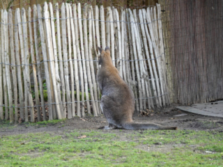 Alwetterzoo Münster Alwetterzoo Münster