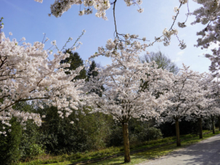Grugapark Essen