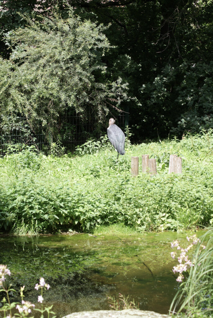 Berliner Zoo