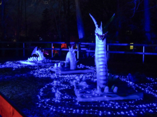 Drachenlichter im Br&uuml;ckenkopfpark J&uuml;lich
