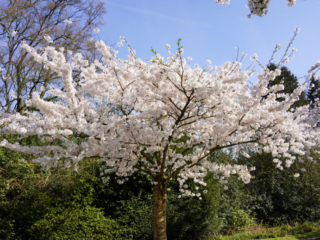 Grugapark Essen