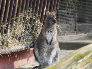 Alwetterzoo Münster Alwetterzoo Münster