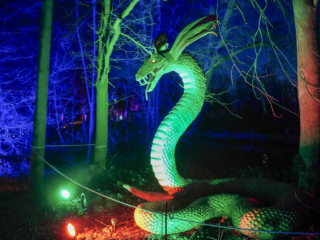 Drachenlichter im Br&uuml;ckenkopfpark J&uuml;lich