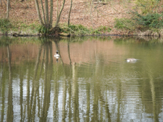 Grugapark Essen