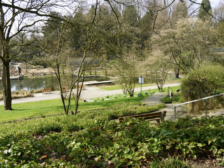Grugapark Essen
