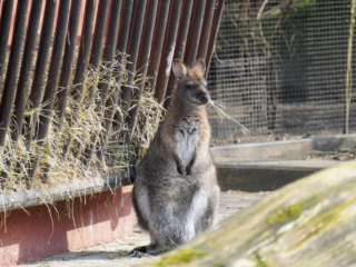 Alwetterzoo Münster Alwetterzoo Münster