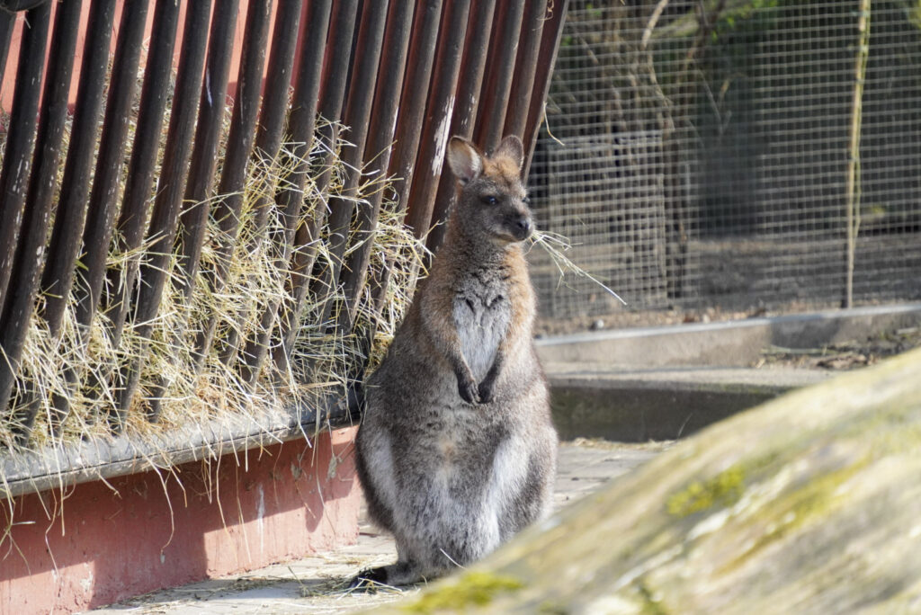 Alwetterzoo Münster Alwetterzoo Münster