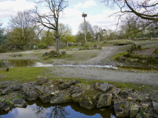 Alwetterzoo Münster Alwetterzoo Münster
