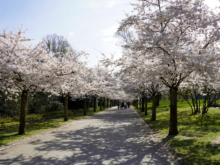 Grugapark Essen