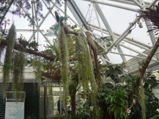 Grugapark Essen