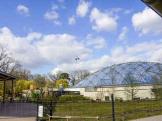 Alwetterzoo Münster Alwetterzoo Münster