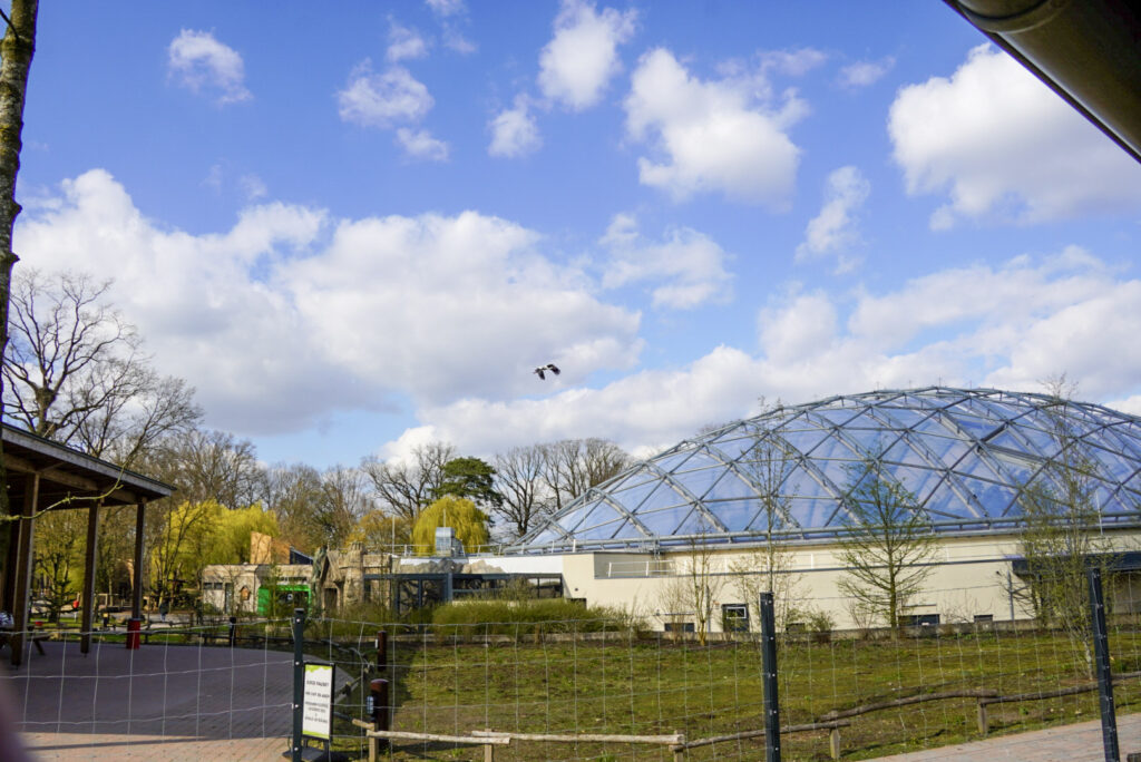 Alwetterzoo Münster Alwetterzoo Münster