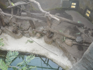 Alwetterzoo Münster Alwetterzoo Münster