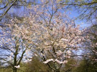 Grugapark Essen
