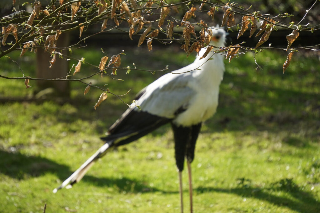 Alwetterzoo Münster Alwetterzoo Münster