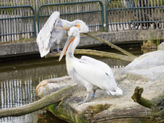 Alwetterzoo Münster Alwetterzoo Münster