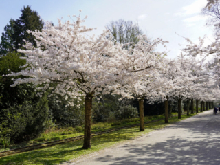 Grugapark Essen