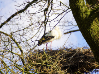 Alwetterzoo Münster Alwetterzoo Münster