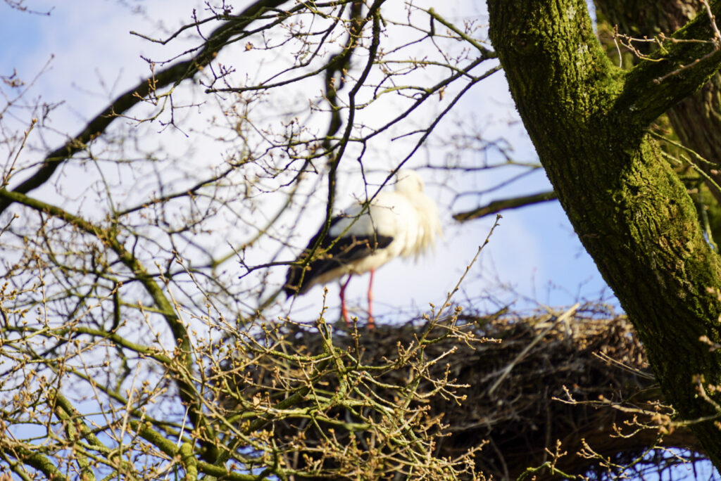 Alwetterzoo Münster Alwetterzoo Münster