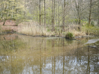 Grugapark Essen