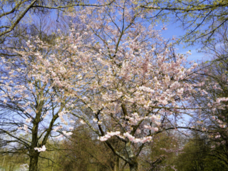 Grugapark Essen