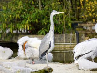Alwetterzoo Münster Alwetterzoo Münster